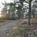 Skolvägen på hösten