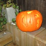 IMG_6493